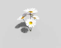 low poly palnt 50