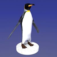 Emperor penguin