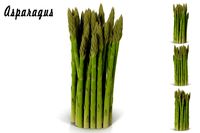 Asparagus