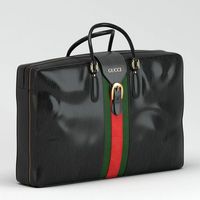 Gucci Luggage