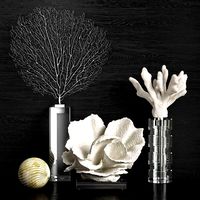 Coral Decor Set