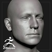 Average Caucasian Male Head Basemesh