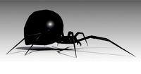 Black widow