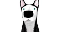 Husky