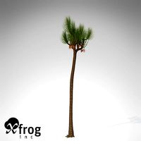 XfrogPlants Sigillaria