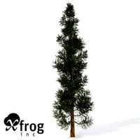 XfrogPlants Incense Cedar 1