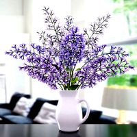 Lavender dev