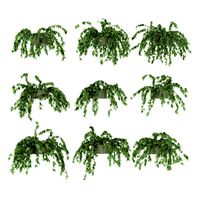 Ivy in pot 9 models v2