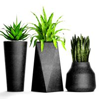 Plants collection pot