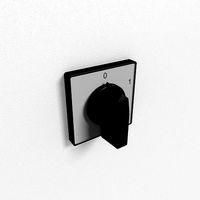 Rotary cam switch
