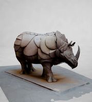 Rhinoceros