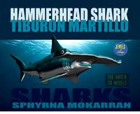 Hammerhead Shark