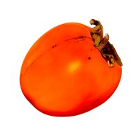 PERSIMMON 3D MODEL GAME READY CROSS-POLARIZED SCAN 16k TEXTURES