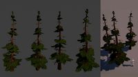 Stylized Handpainted Pine Tree