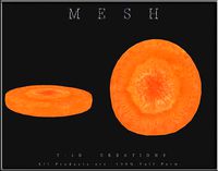 Slice of Carrot