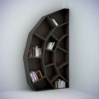 Spider web bookcase