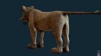 Lioness for Games and Film
