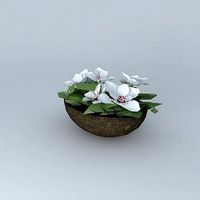 Flower Pot