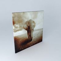 Elephant Canvas