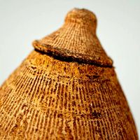 Calebas Primitive Drinking tank 2