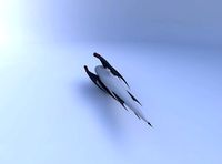 Spaceship