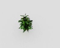Low poly Plant