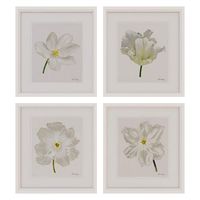 Charlotte Morgan White Watercolour Tulips