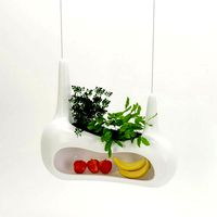 Suspension with bananas and greens