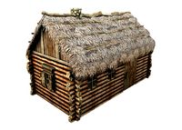 Wooden Thatch House