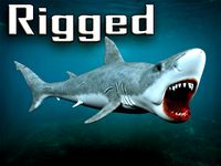 Great white shark