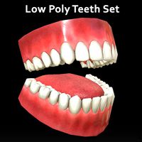 Low Poly Teeth Set with PBR textures