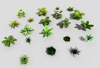 20 low poly tropical foliage pack
