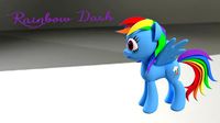 My Little Pony RainBowDash 3D Model