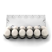Clear Plastic Dozen Egg Packaging