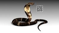 Cobra Animated