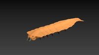 low poly prehistoric centipede