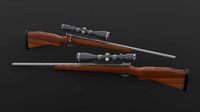 Hunting Rifle
