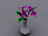 Flower Vase