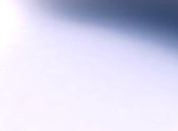 Bowl with twisted muscle structure twisted and squeezed | 3D