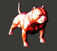 American Bully Dog | 3D