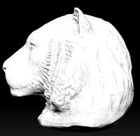 tiger | 3D