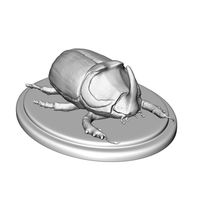 rhinoceros beetle | 3D