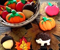 Acorn cookie cutter for professional | 3D