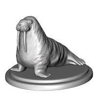 walrus | 3D