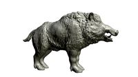 Boar high poly | 3D