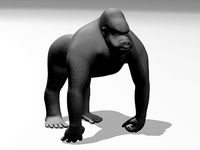 Gorilla | 3D