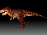 Zhuchengtyrannus magnus | 3D