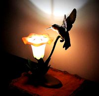 Hummingbird Lamp | 3D