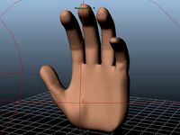 Human Hand | 3D