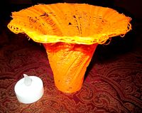 Double Twisted Hexagonal Vase Nightlight | 3D